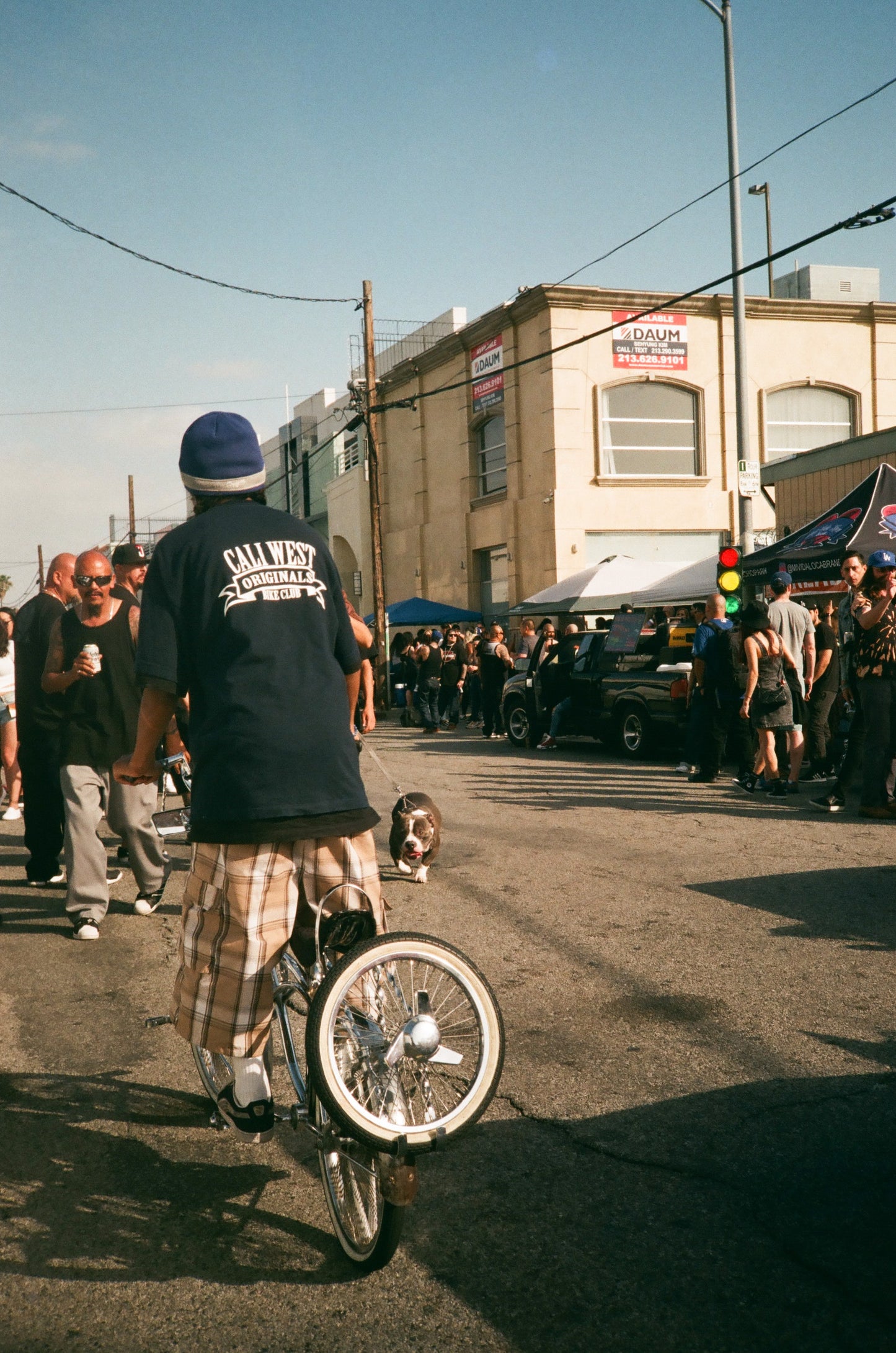 Low Rider Bike